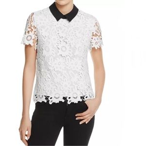 AQUA White Lace Floral Short Sleeve Top with Black Collar - Size XS